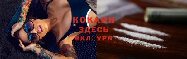 крисы Балахна