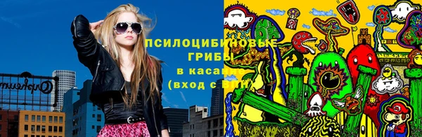 крисы Балахна