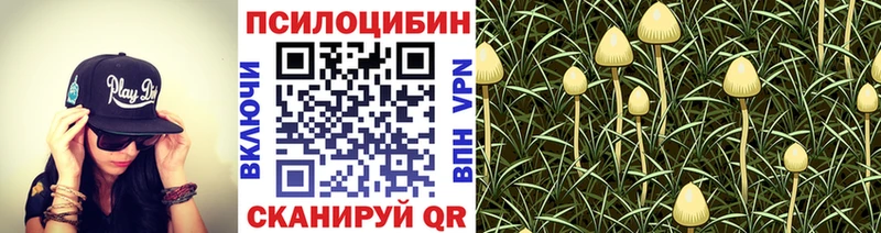 гидра ССЫЛКА  Печора  Псилоцибиновые грибы ЛСД 